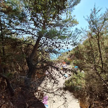 Capogrosso Cusatis *