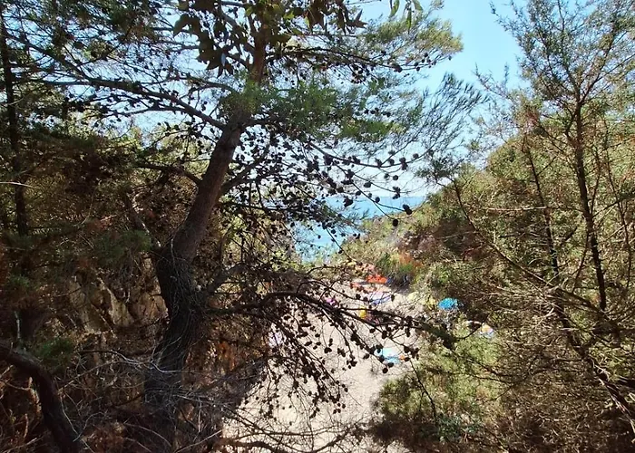 Capogrosso Cusatis *